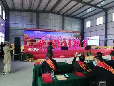 宛城秋色好 笑語慶豐年——南陽宛城區豐收節文藝演出側記