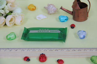 日用品 日常生活中的不可或缺